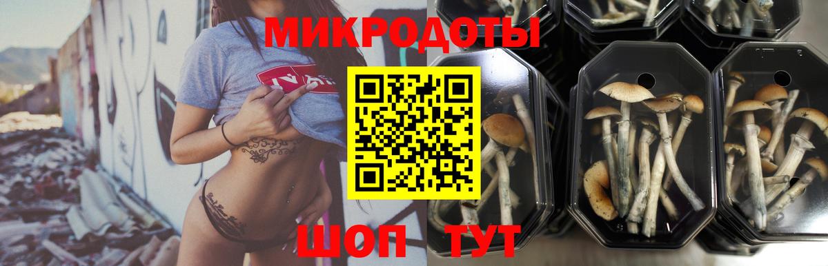 Галлюциногенные грибы мицелий Урюпинск