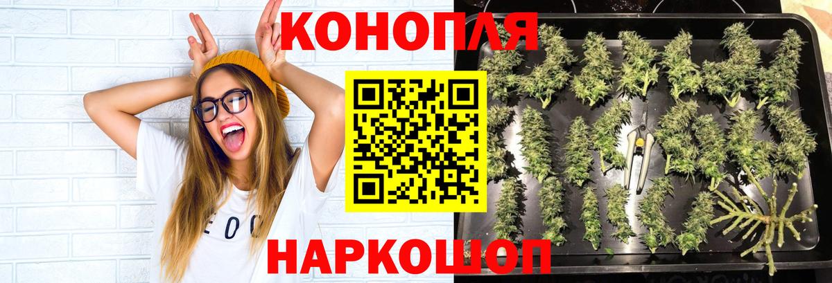 Канабис ГИДРОПОН Урюпинск